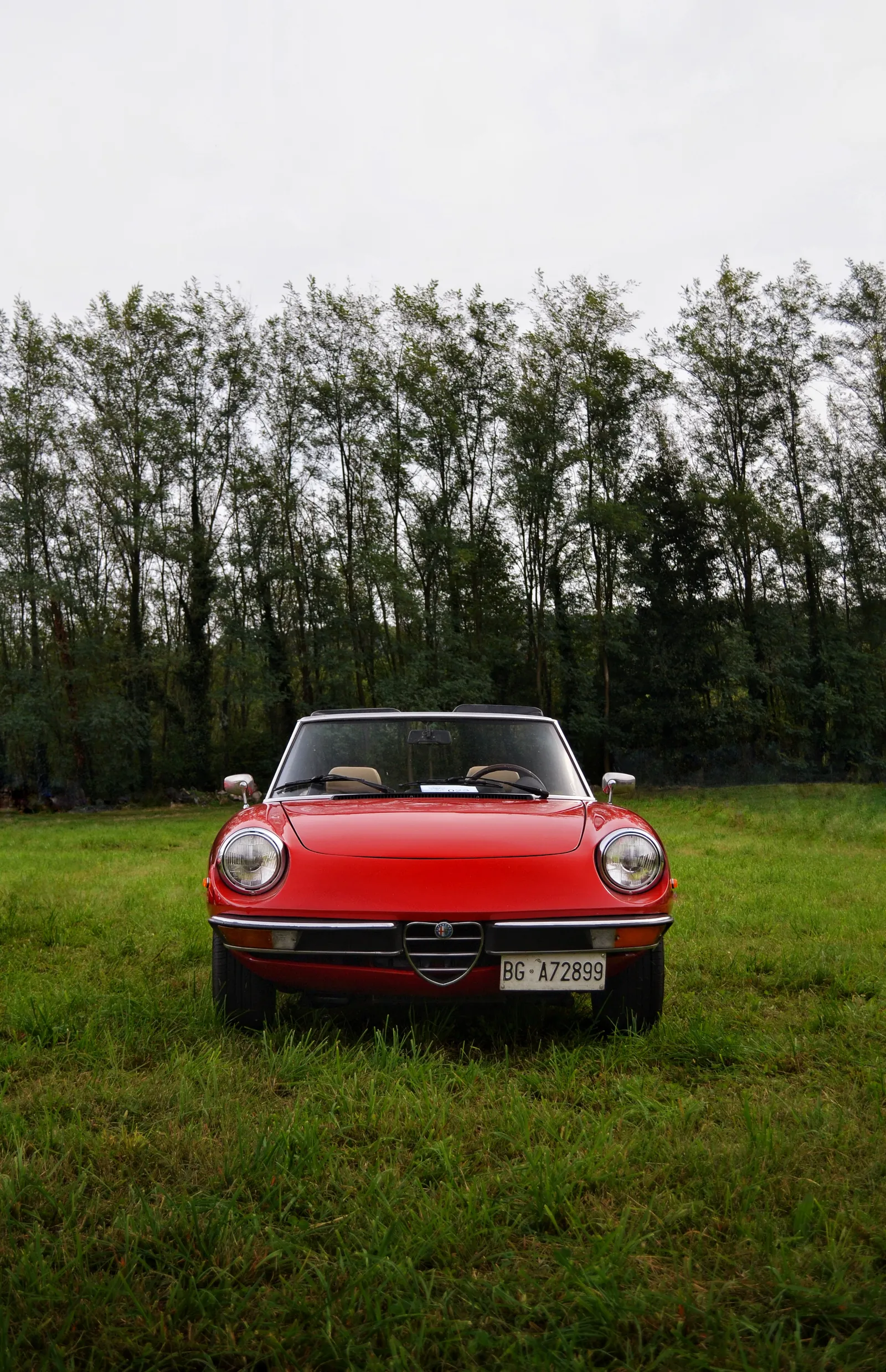 Red Alfa Romeo Spider in a green meadow